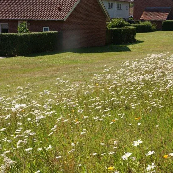 2-vær. rækkehus på 66 m² - Esbjerg V - Billede 19