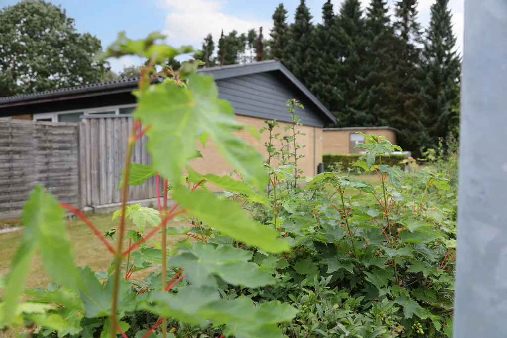 2-room terraced house, 60 m² - Rødding - Photo 20