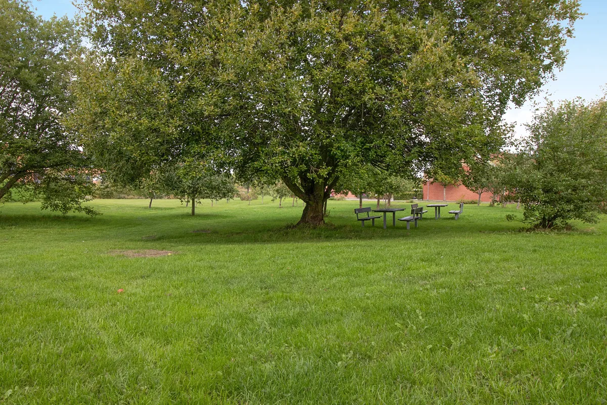 4-vær. lejlighed på 77 m² - Aarhus N - Billede 22