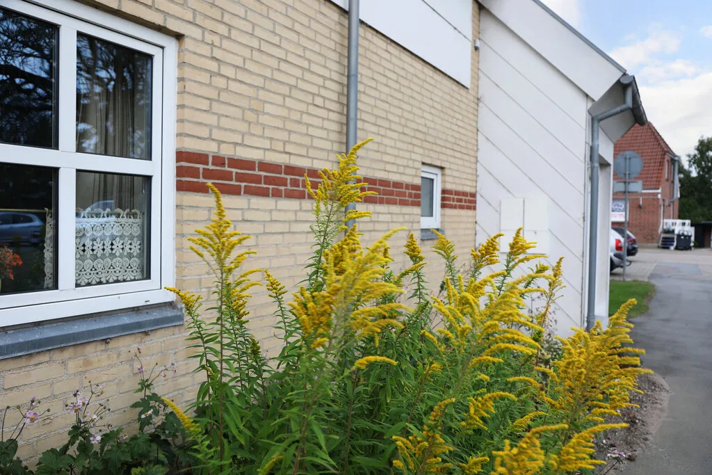 2-room terraced house, 60 m² - Rødding - Photo 17