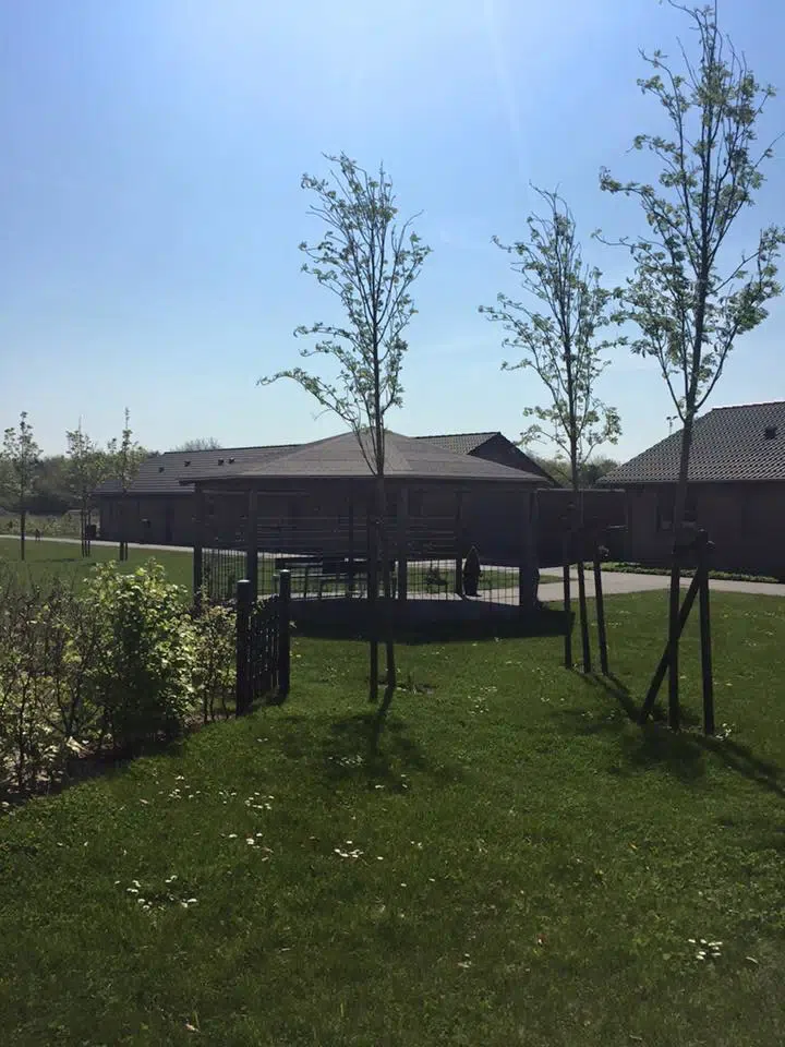 4-vær. rækkehus på 104 m² - Tjæreborg - Billede 11