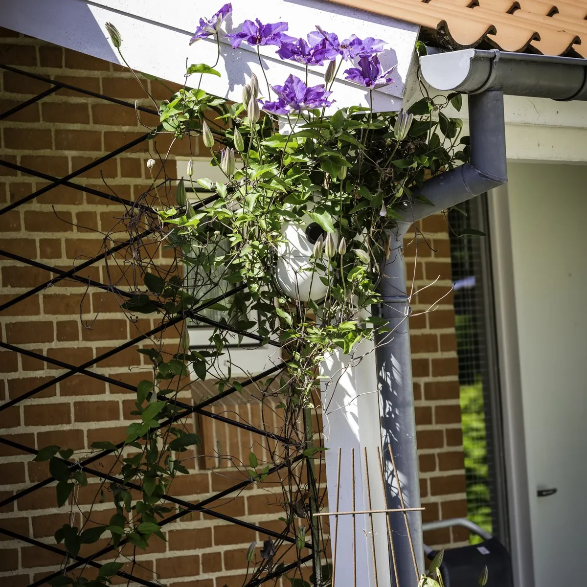 3-vær. rækkehus på 75 m² - Holstebro - Billede 10
