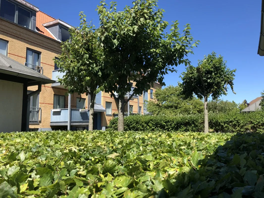 3-vær. lejlighed på 92 m² - Frederikshavn - Billede 22