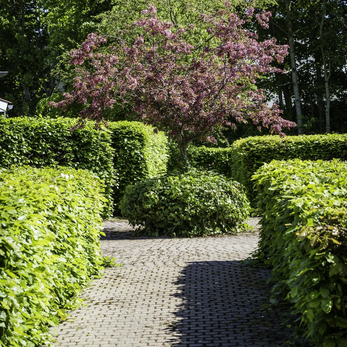 3-vær. rækkehus på 75 m² - Holstebro - Billede 4