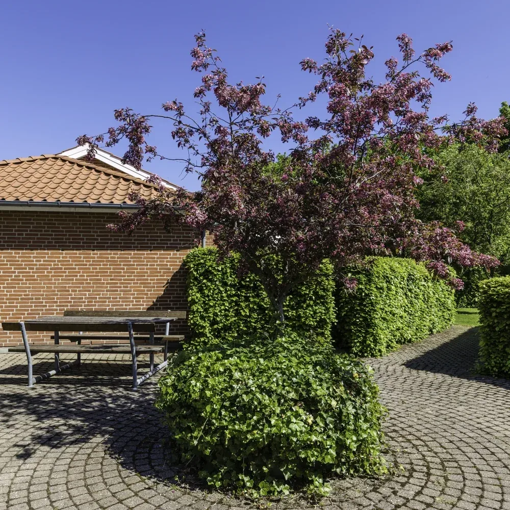 3-vær. rækkehus på 75 m² - Holstebro - Billede 18