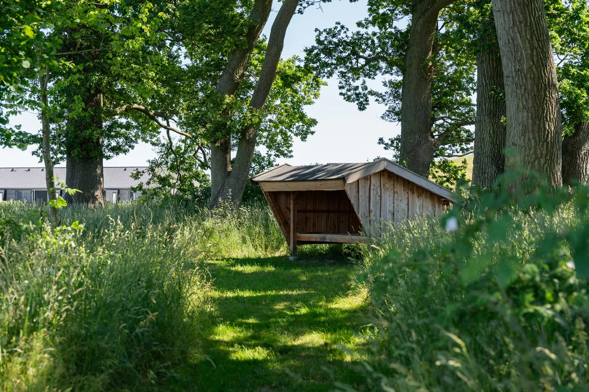 3-vær. rækkehus på 95 m² - Haslev - Billede 43