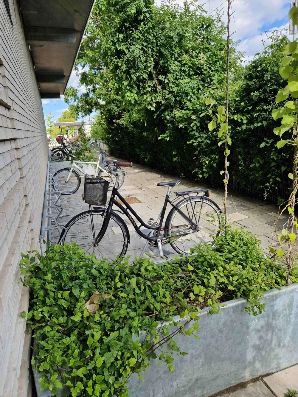 3-vær. lejlighed på 67 m² - Rødovre - Billede 1