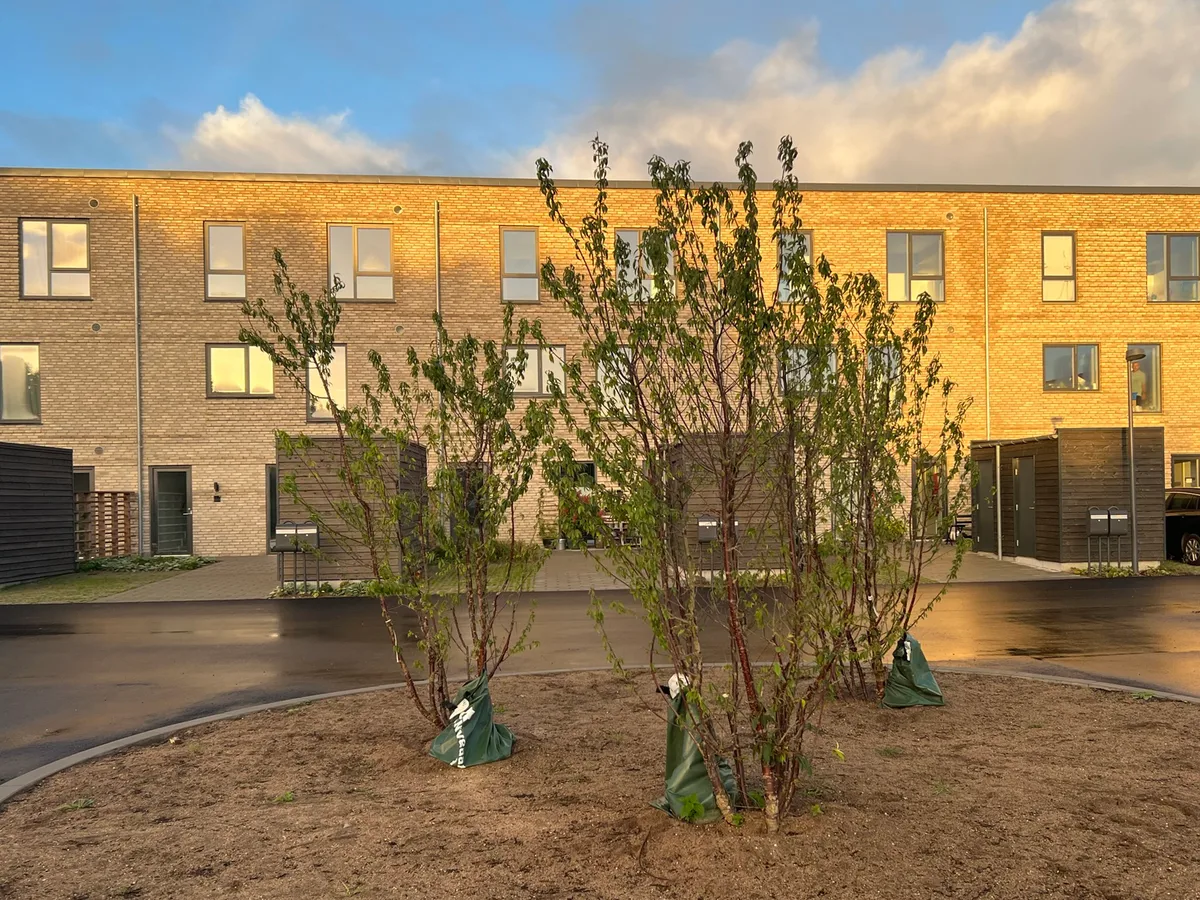 3-vær. lejlighed på 81 m² - Nivå - Billede 3
