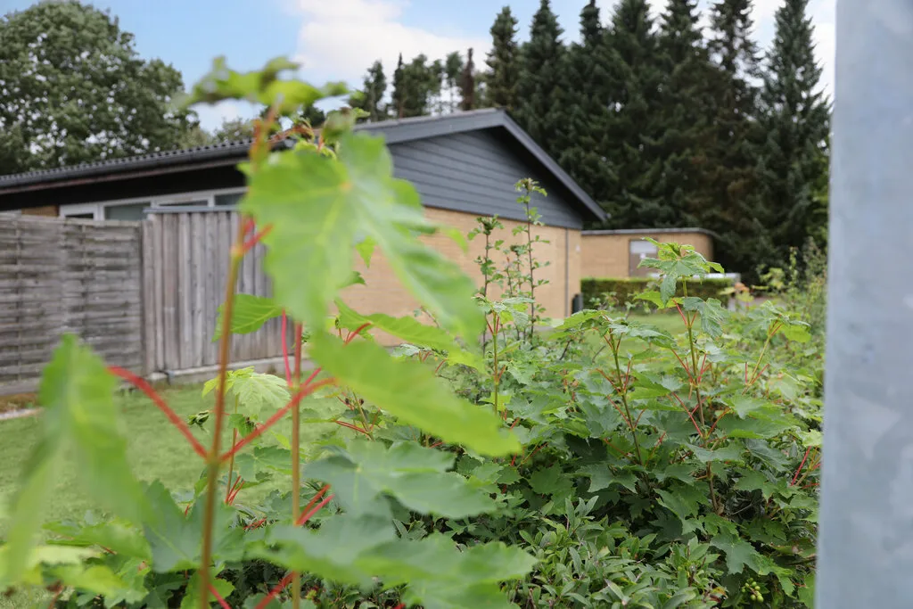 2-room terraced house, 60 m² - Rødding - Photo 18