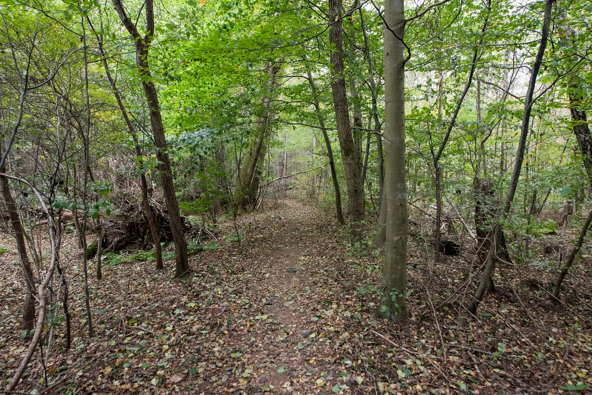 4-vær. lejlighed på 128 m² - Hillerød - Billede 16