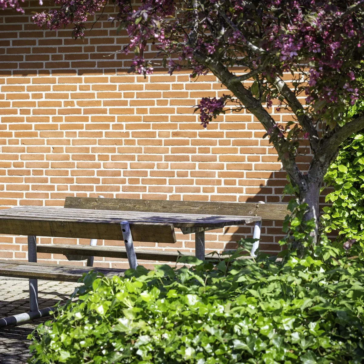 3-vær. rækkehus på 75 m² - Holstebro - Billede 11
